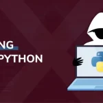 How Does Python Contribute to the Field of Ethical Hacking