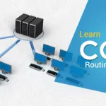 What are the Basics of CCNA Routing and Switching?