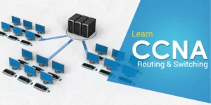 What are the Basics of CCNA Routing and Switching?